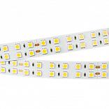 Светодиодная лента RT 2-5000 24V White6000 2x2 (5060, 720 LED, LUX) (Arlight, 34.4 Вт/м, IP20)