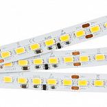 Светодиодная лента IC2-5000 24V Day4000 4xH (5630, 600 LED, LUX) (Arlight, 25 Вт/м, IP20)