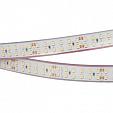 Светодиодная лента RTW 2-5000P 24V Day4000 2x2 (3528, 1200 LED, LUX) (Arlight, 19.2 Вт/м, IP66)