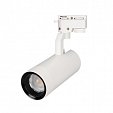 Светильник LGD-GELIOS-2TR-R80-30W White6000 (WH, 20-60 deg, 230V) (Arlight, IP20 Металл, 3 года)